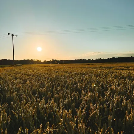 Dorfplatz Mit Weitblick, Ganz Neu Und Unfassbar Gemuetlich 10 Min Von Rothenburg Ob Der Tauber * Schrozberg